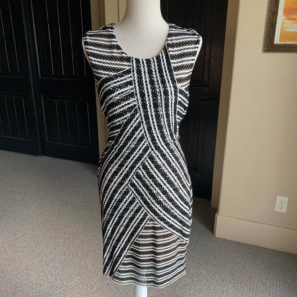 Bailey 44 dress